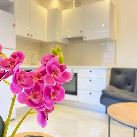 Apartament Rose 7