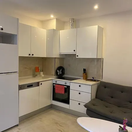 Rose 7 Apartament